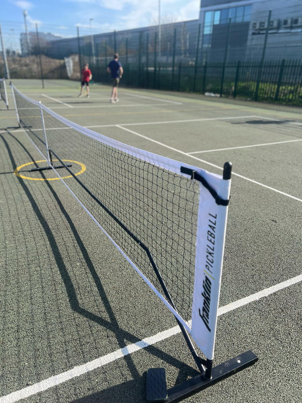 Pickleball net and court